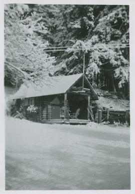 Snow on log cabin, behind residence of Albert Henry and Anna Todd