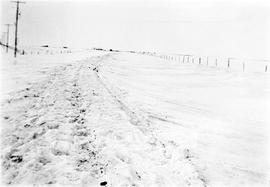 Partially cleared track through snow near Melita, Manitoba