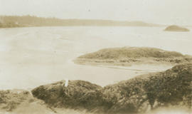 View of rocky shoreline at Brentwood Bay