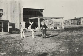 Bill Ruby and calf, 1923