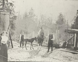 Martin, Fred and Mrs Mallett with horses, Ruby Road