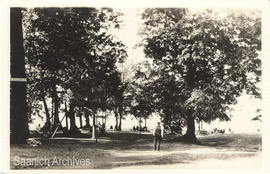 The park at Mount Douglas Beach