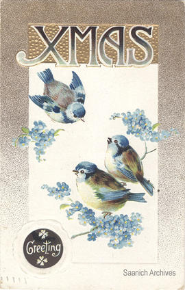 Christmas card with birds, message "Xmas Greeting"