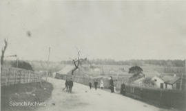 Cadboro Bay Road, ca. 1908