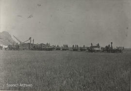 Wheat threshing on the Todd farm