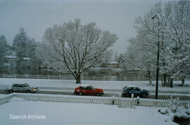 View of the Gorge in the winter of 1990-91