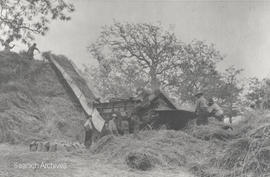 Wheat threshing on the Todd farm