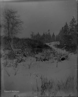 Landscape photograph of snow by Annie Girling