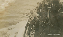 Whale in tow off the ship S.S. White