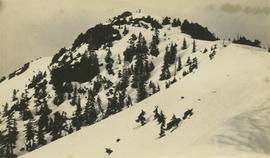 Snow-covered mountain