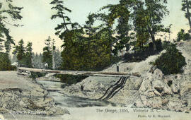 Early log bridge over the Gorge, looking west