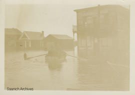 Marigold floods, Panama Flats