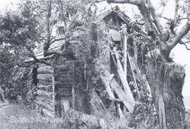 Lindsay log cabin, 4420 Wilkinson Road