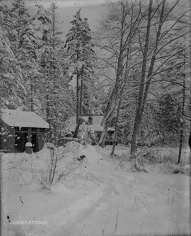 View of Girling home at Swan Lake in winter