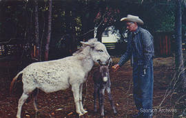 Bill Mattick with donkey and foal at Mattick's Farm