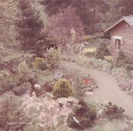 Pierre Timp's gardens, 1963