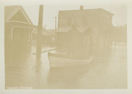 Marigold floods, Panama Flats