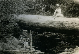 Muriel Nicholson with Snap the dog on a log, Molly Nicholson below