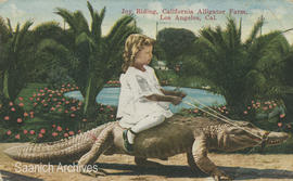 Child riding alligator, California Alligator Farm, Los Angeles