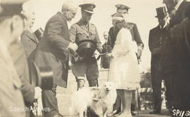 Postcard of Muggins the Red Cross dog and the Prince of Wales, with young Doris Baker presenting a photograph of Muggins to the Prince, BC Premier John Oliver on left