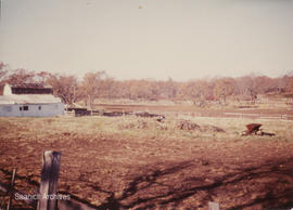 Raper family farm and outbuildings, 1970