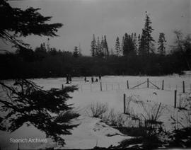 Skating on Swan Lake, photograph by Annie Girling