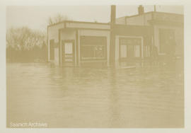 Garden City General Store, Marigold floods, Panama Flats