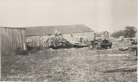 Threshing on Rithet Estate