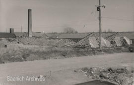 Wind damage to Lee Yan Greenhouses, 1970