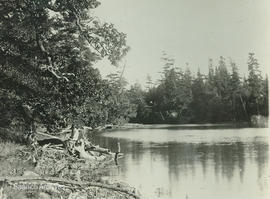 Colquitz River, 1913