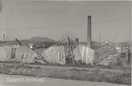 Wind damage to Lee Yan Greenhouses, 1970