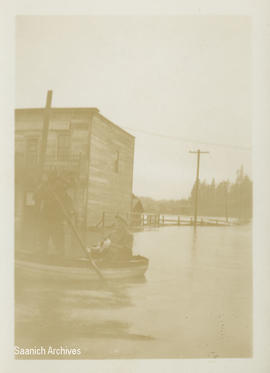 Store with wooden walkway, Marigold floods, Panama Flats