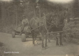 Logging in Sooke, 1910