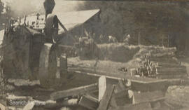 Wood-fired (steam) threshing machine [Mileva Todd collection]