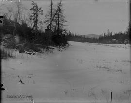 Landscape photograph of Swan Lake in winter by Annie Girling