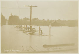 Wooden walkway, Marigold floods, Panama Flats