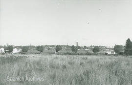 Young Day Greenhouses on Shelbourne Street, 1969