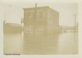 Store, Marigold floods, Panama Flats