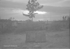 Animal pen on the Girling's Swan Lake property, photograph by Annie Girling