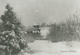 Victoria and Sidney Railway crossing at Rogers farm, Agnes Street, 1916