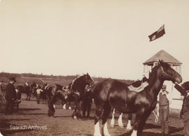 Horse Days, Willows Fair, 1900