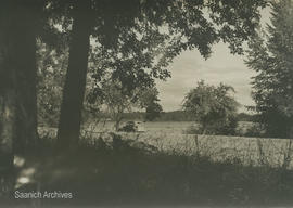 Landscape photograph of Elk Lake