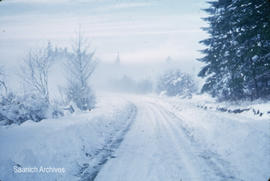 Snow on road [near 714 Lands End Road]