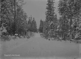 Ralph Street in winter, near the Girling family home, photograph by Annie Girling