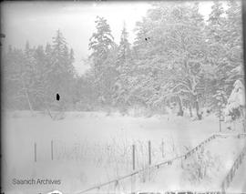 Landscape photograph of snow and trees by Annie Girling