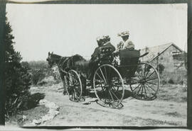 Horse and carriage with passengers