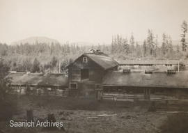 Duncan McTavish's Ardmore farm, livestock barns, early 1900s