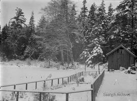 Part of Girling property at Swan Lake in winter