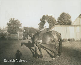 [Muriel Comber on horseback at the Holloway farm?]